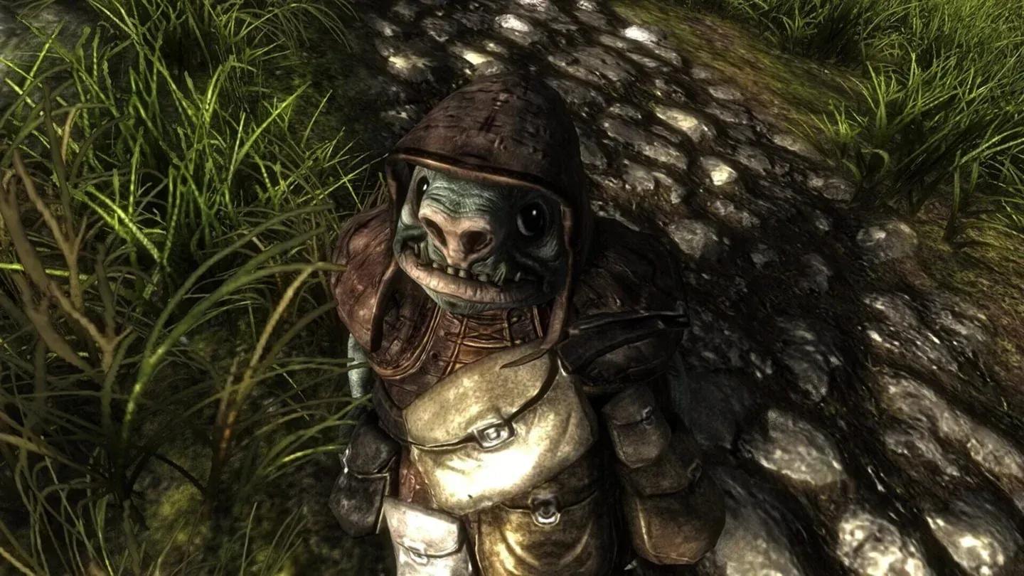 Risen content image