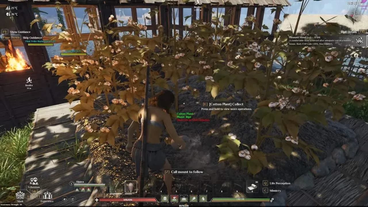 骑行长途时请储备玉米