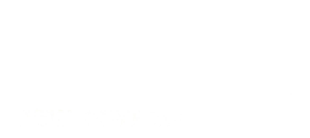 S.T.A.L.K.E.R.: Call of Pripyat Logo