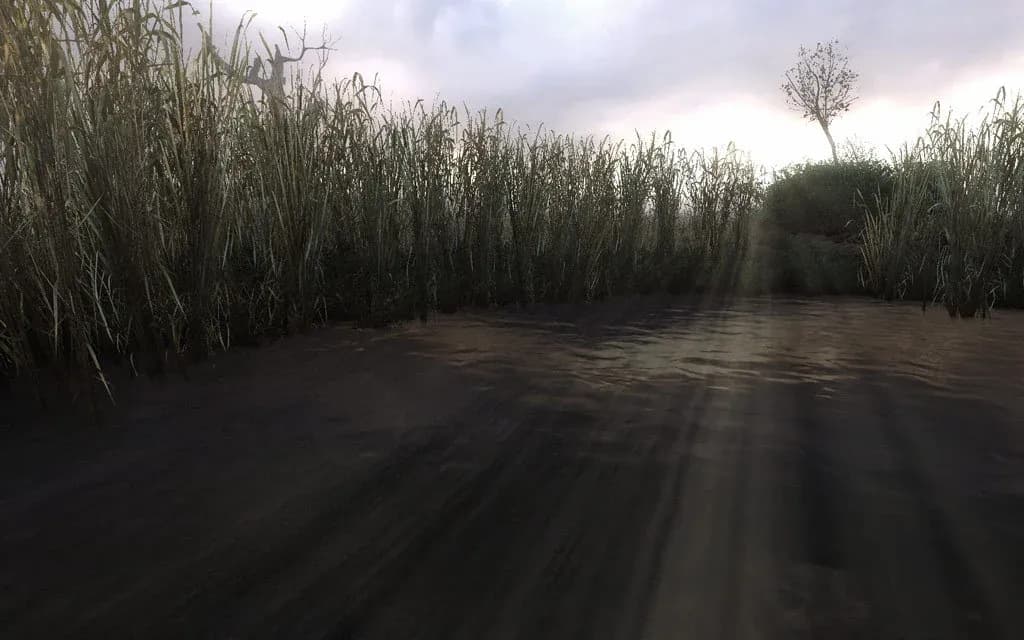 S.T.A.L.K.E.R.: Clear Sky Gallery 7