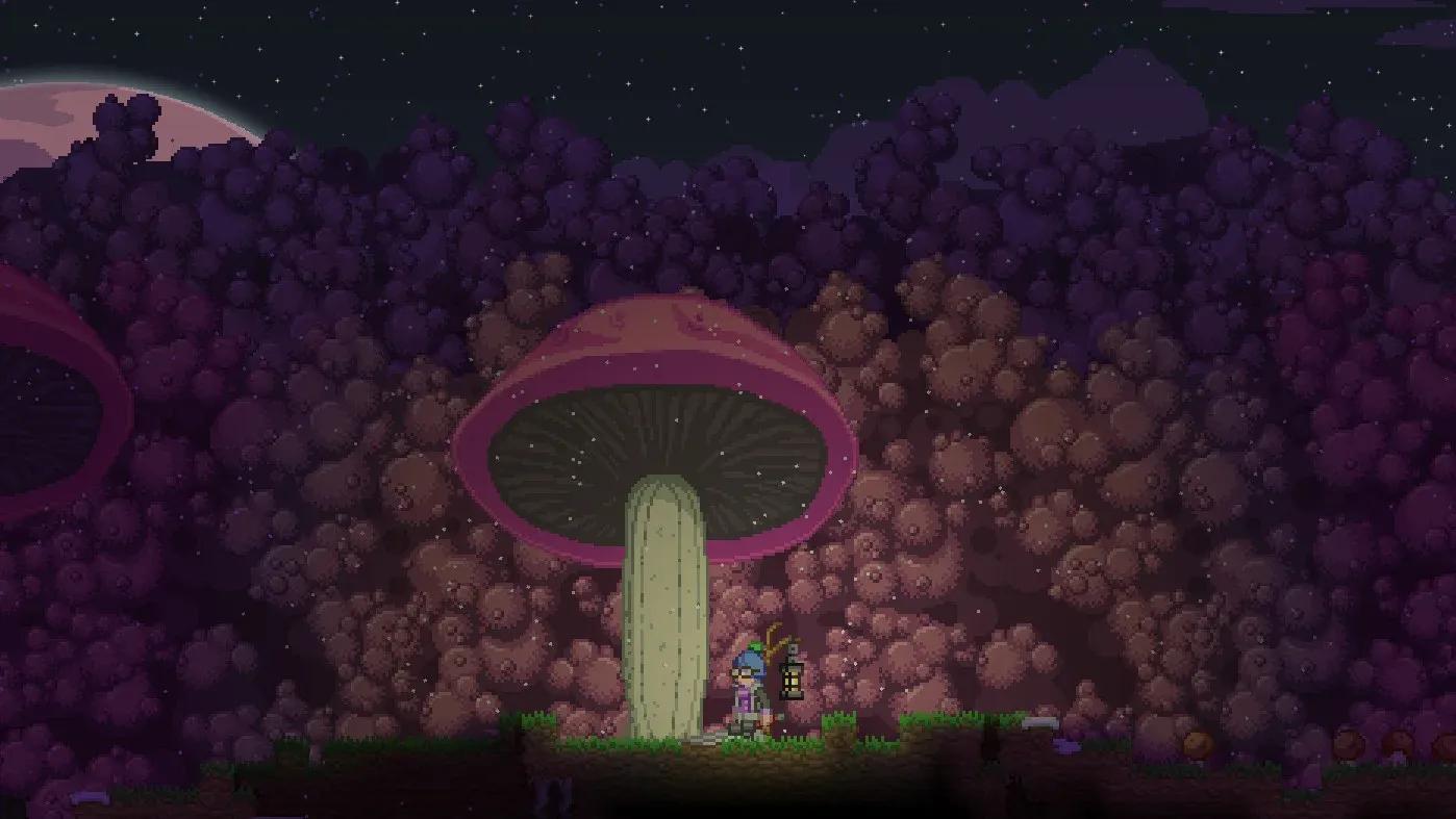 Starbound Gallery 6