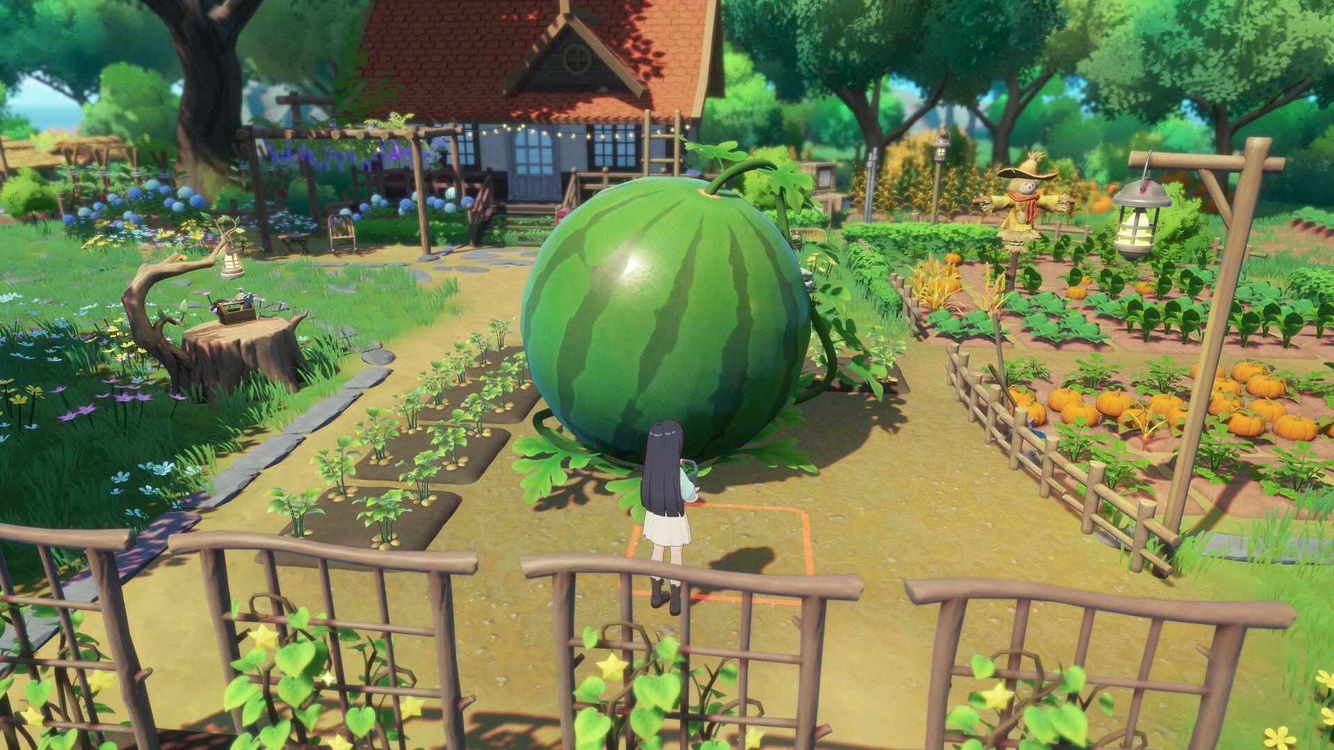 Starsand Island Screenshot 18