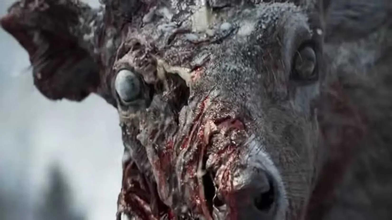 Zombie Deer ...