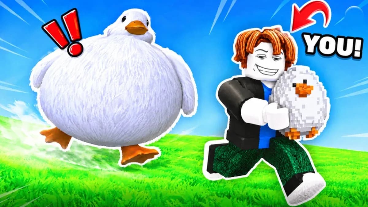Steal Animal Egg Codes (October 2026)