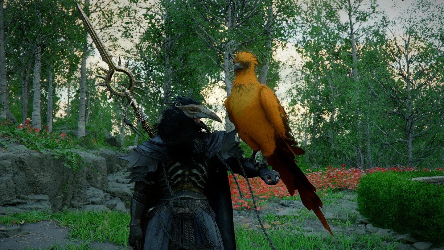 Legendary Phoenix at the feeder