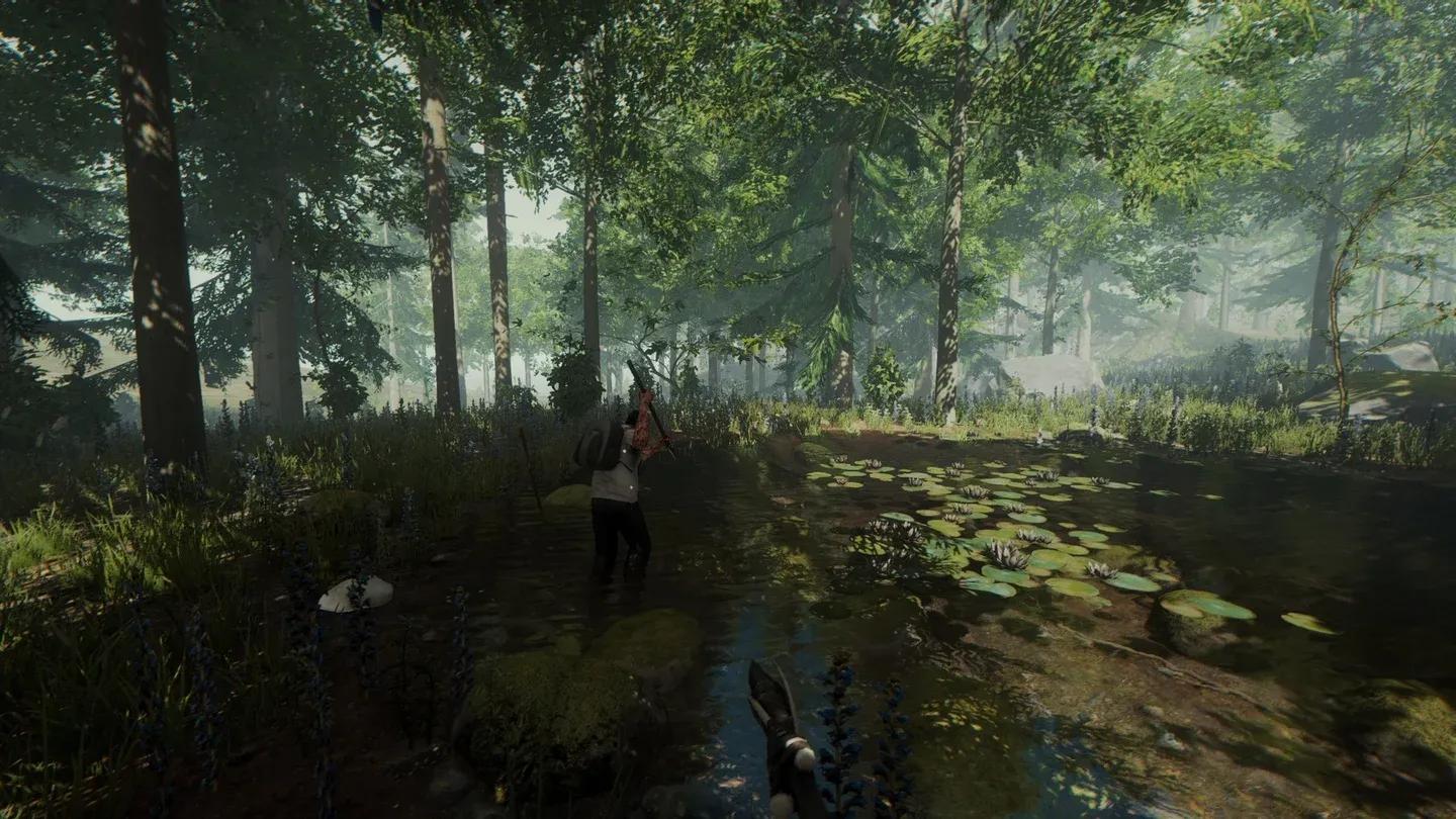 The Forest Gallery 6