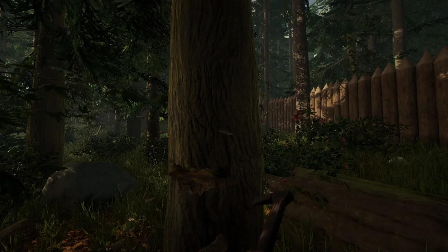 The Forest Gallery 7