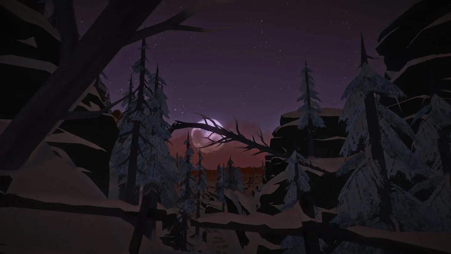 The Long Dark Gallery 2