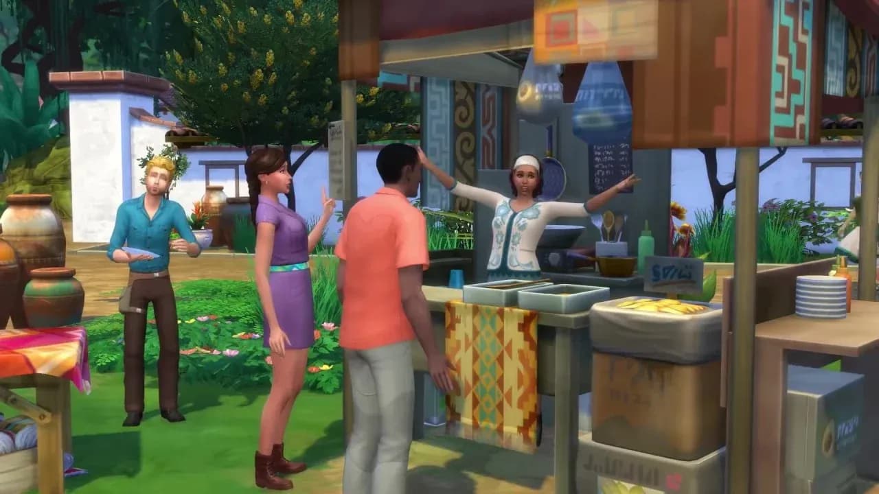 Aperçu du marché de Zanbira