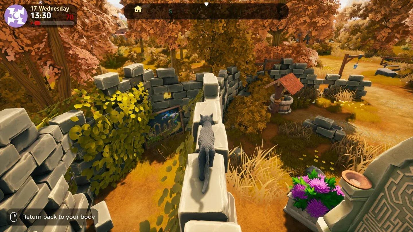 The Witch of Fern Island Gallery 2