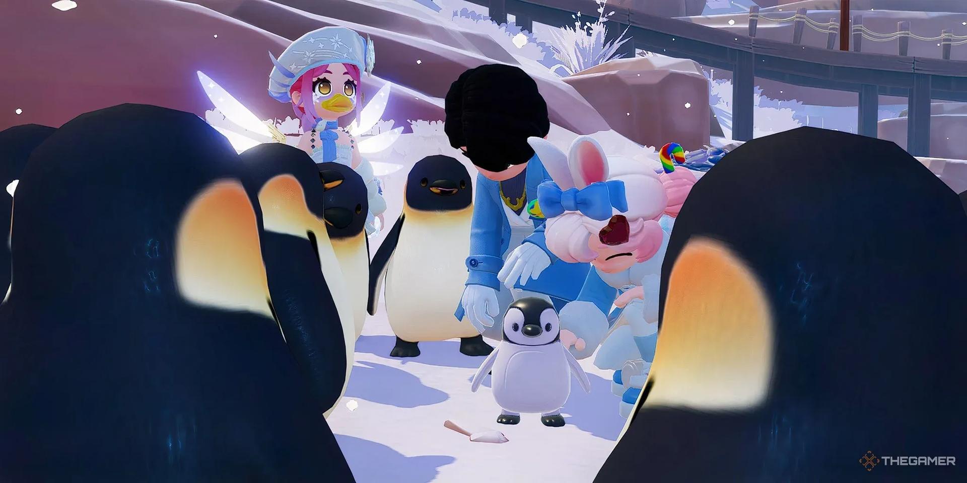 Where To Find Penguins In Heartopia