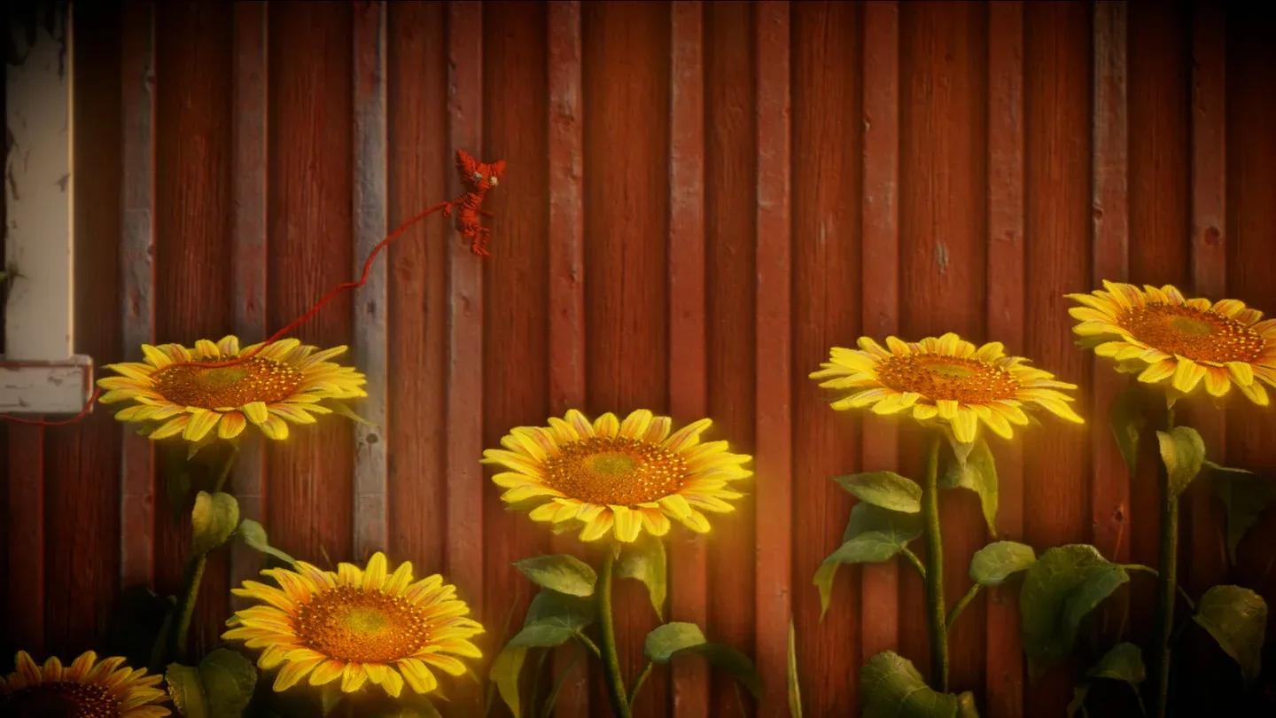 Unravel content image