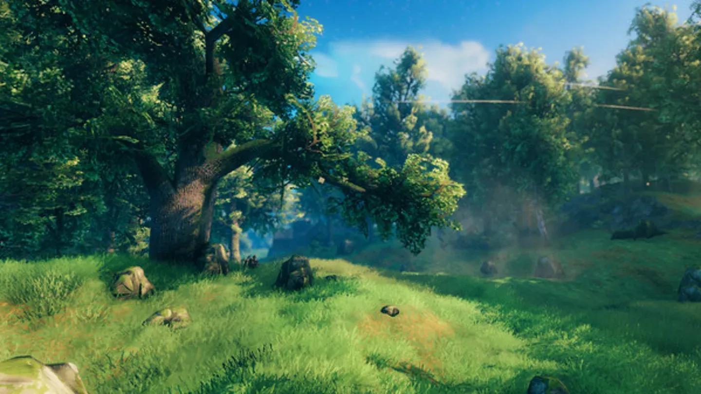 Meadows biomes starting area
