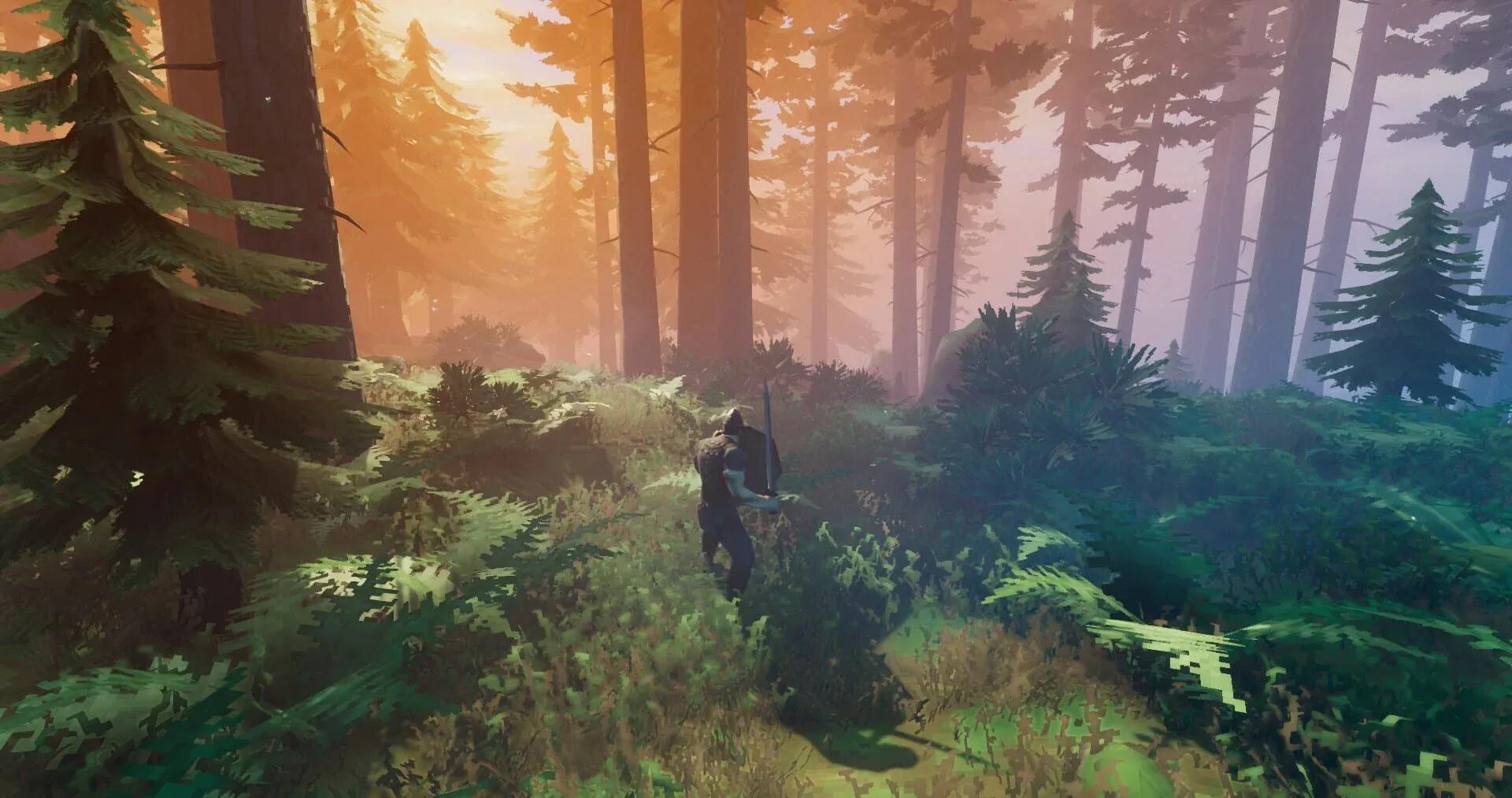 Valheim Screenshot 19