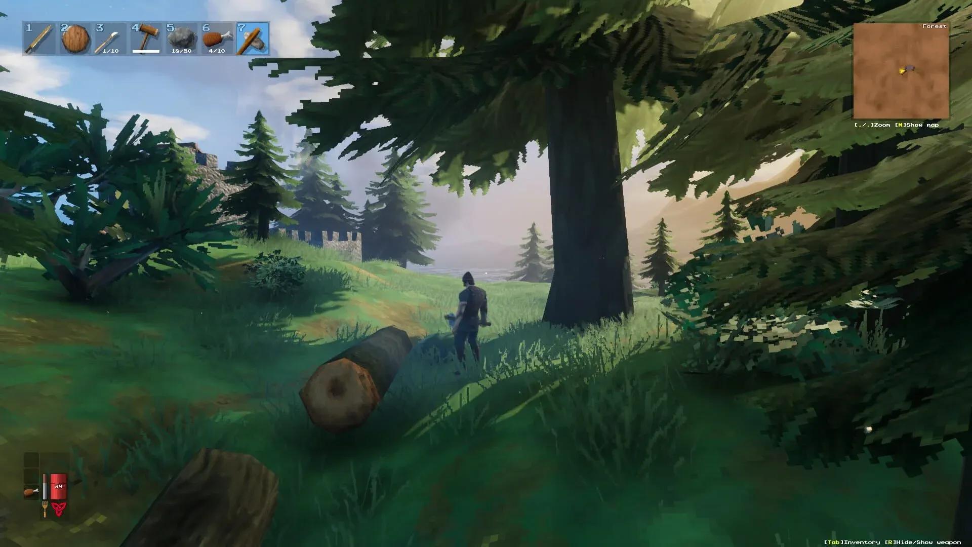 Valheim Screenshot 23