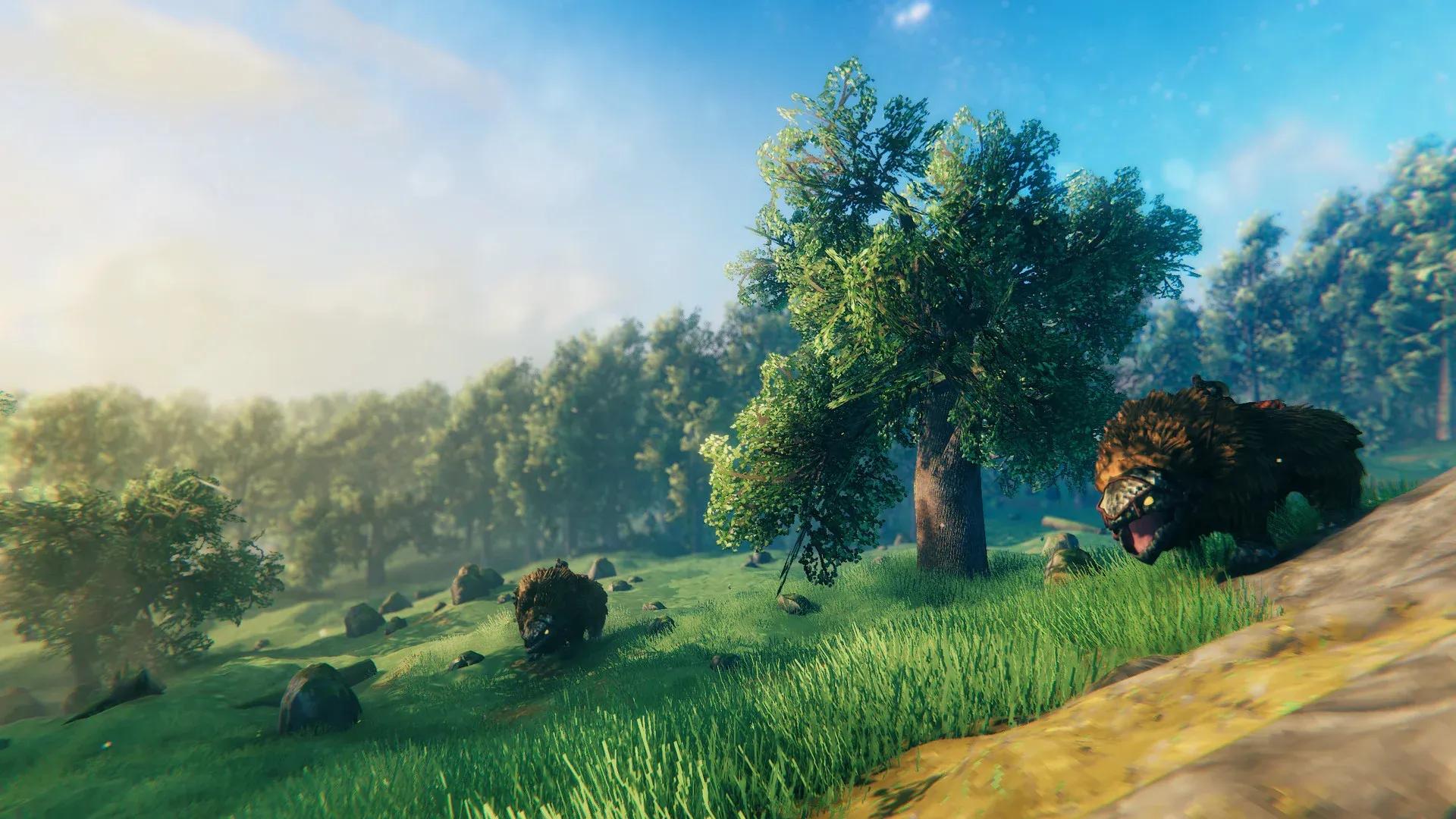 Valheim Screenshot 8