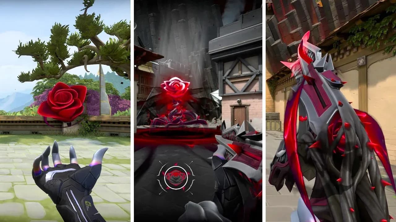 Holo Meridian 顏色選項