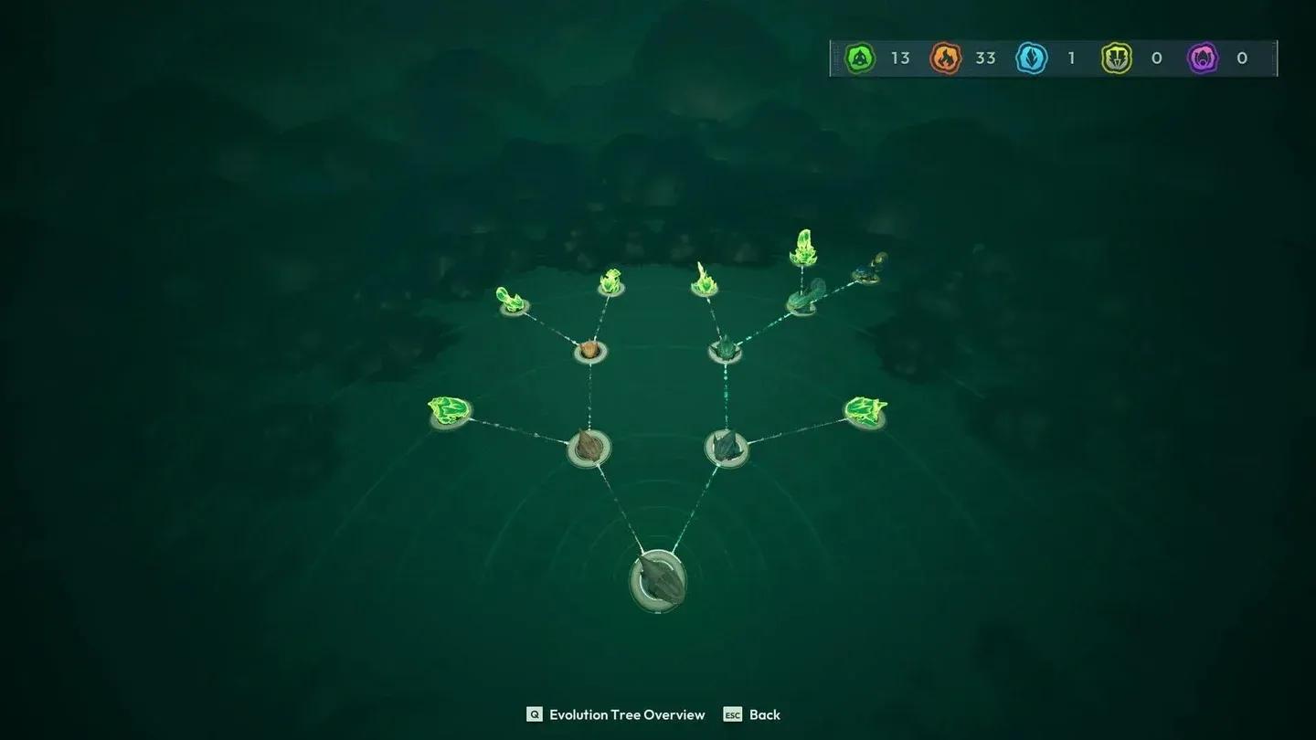 Evolution path selection