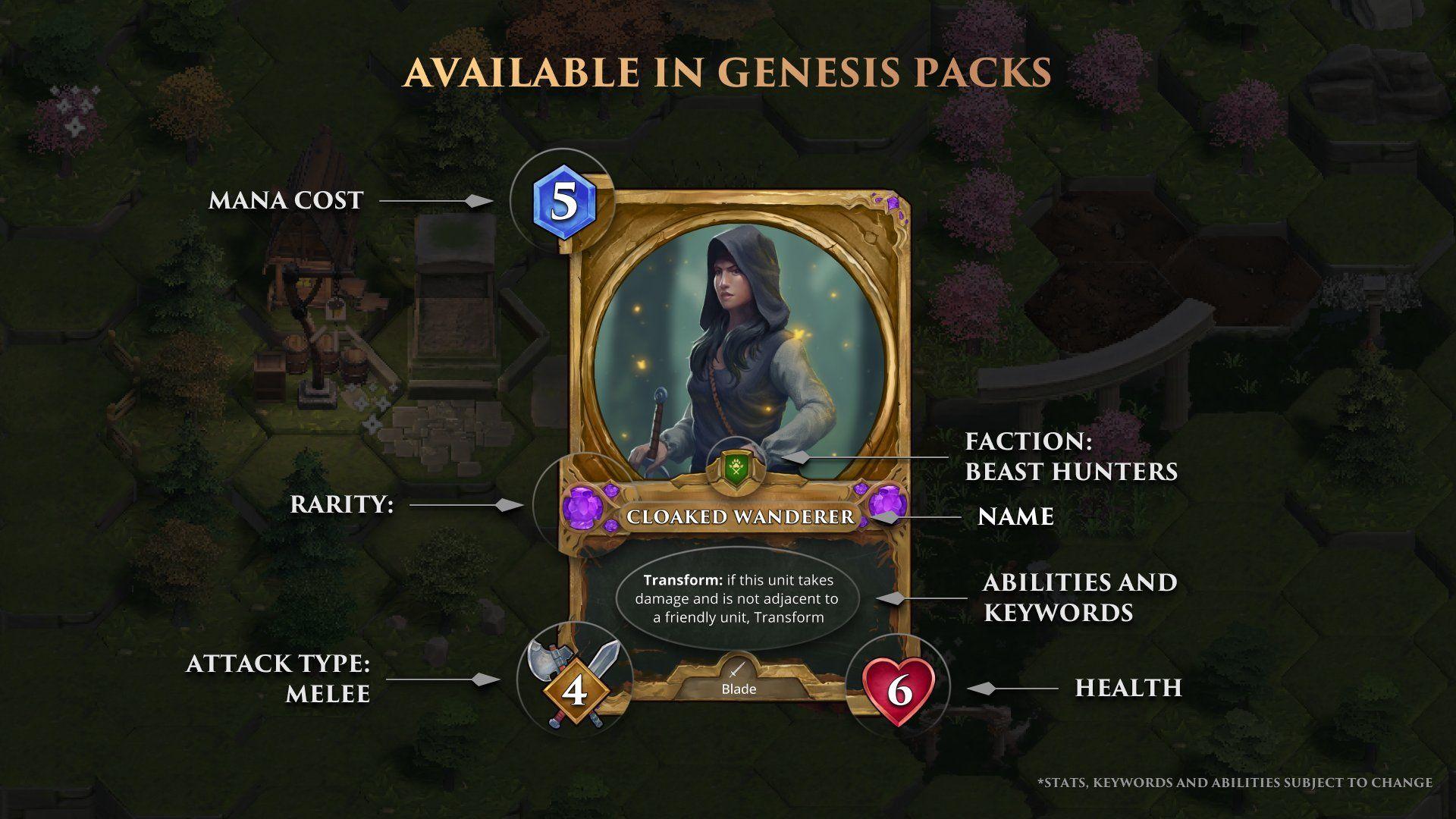 warriors of aradena card design.jpg