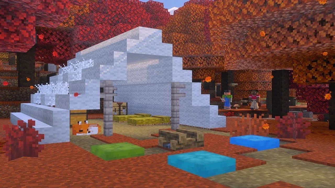 Abandoned Camp in the forest