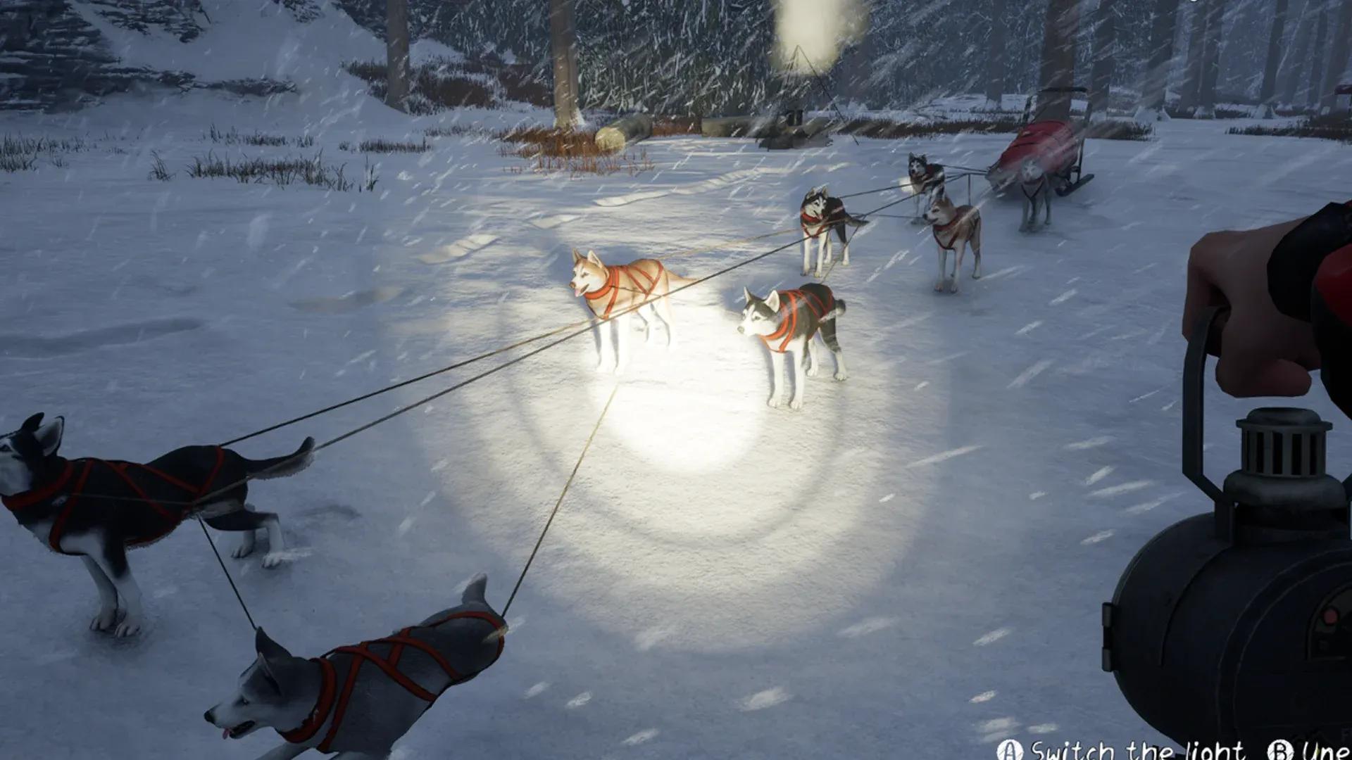 Will: Follow the Light review - a ...