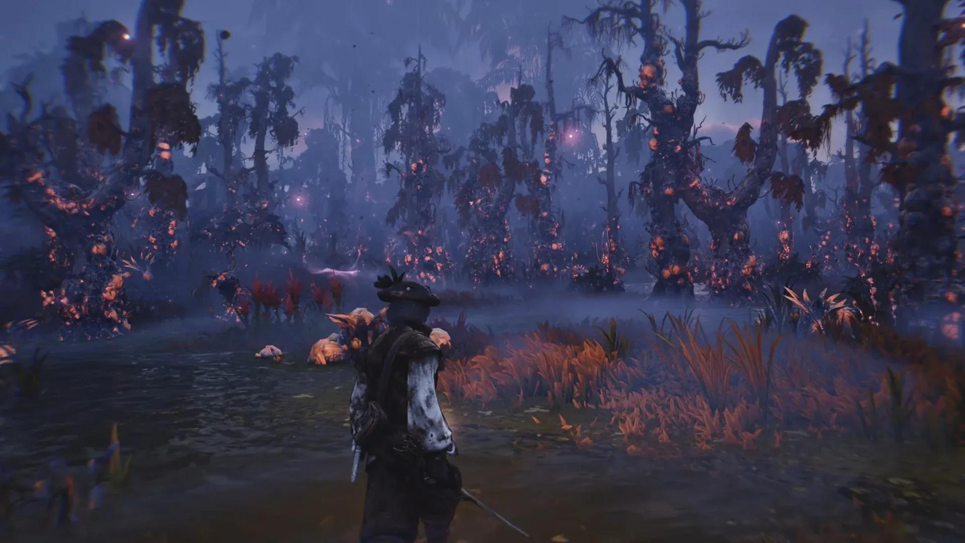 Windrose Guide: All Discoveries in Cursed Swamp