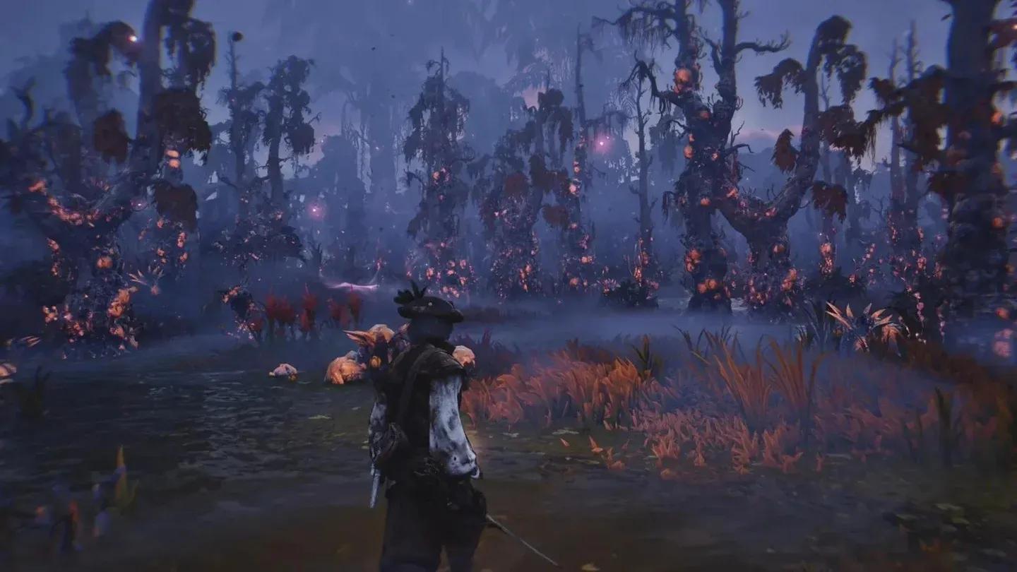 حدود منطقة الغابة الملوثة