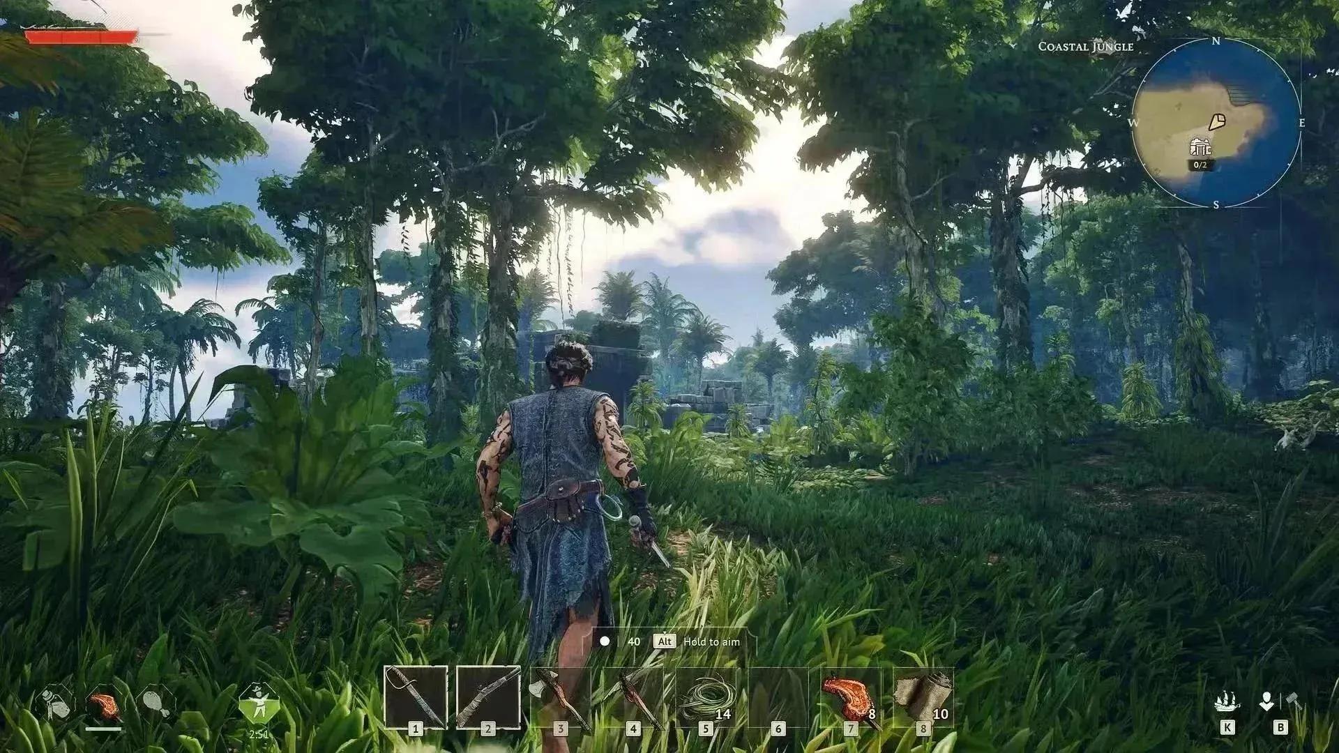 Windrose Guide: How to Get Iron