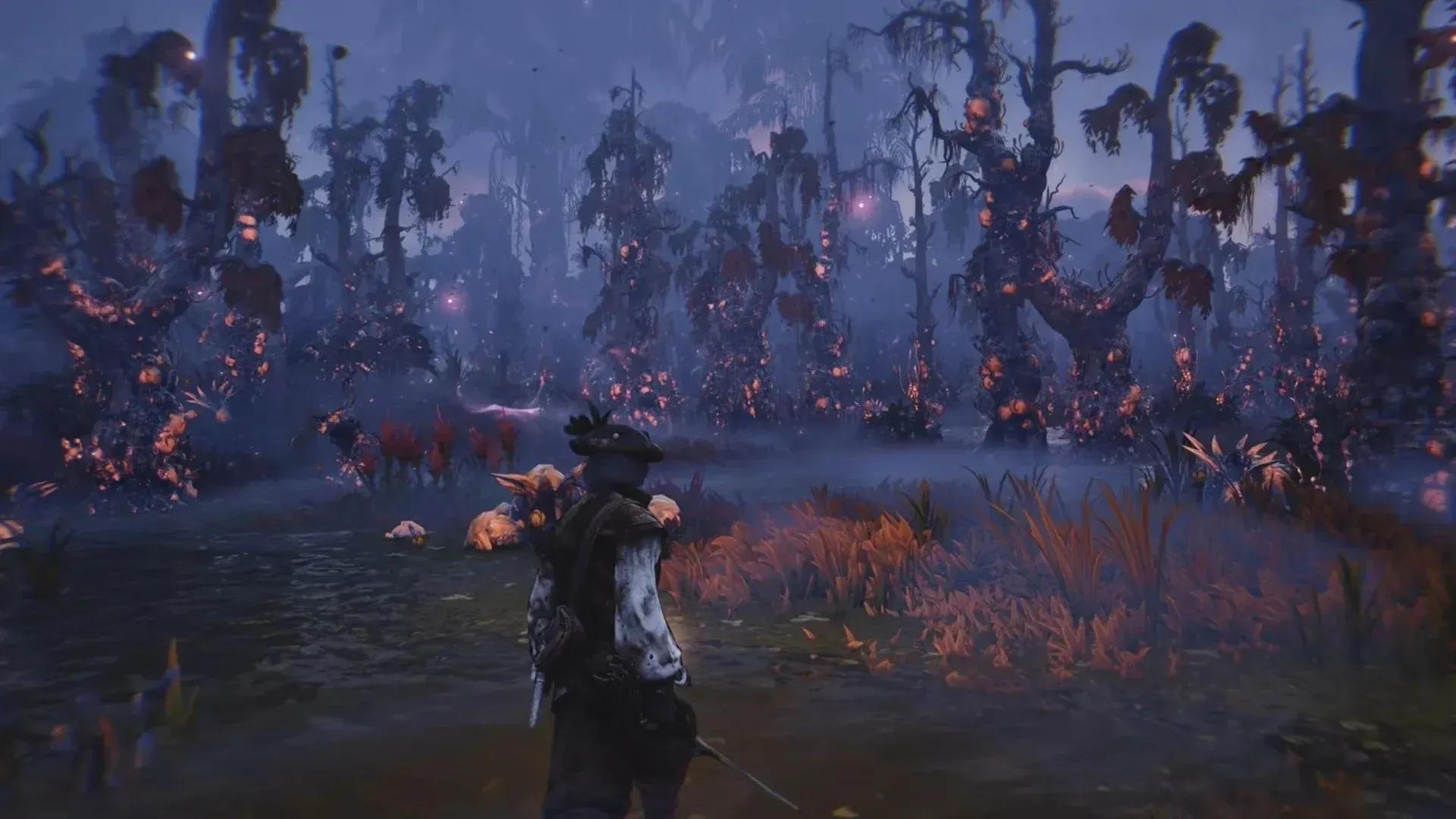 Windrose Guide: All Discoveries in ...