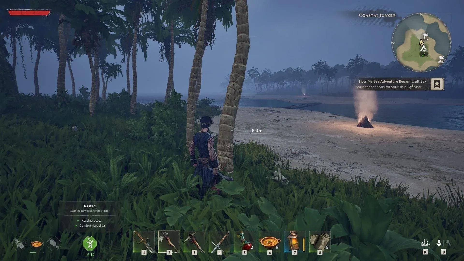 Windrose Guide: How to Get Palm Seeds