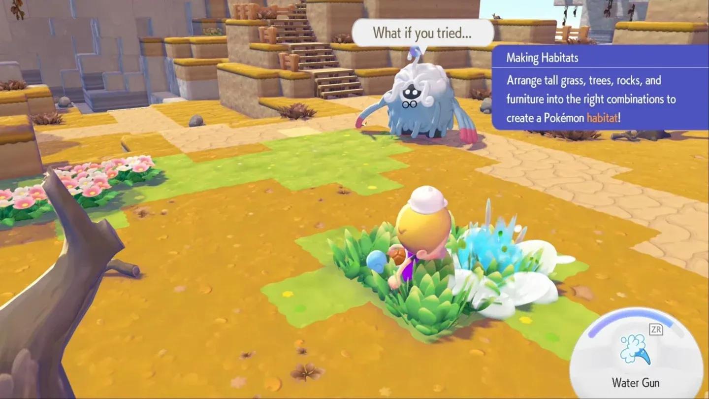 Seaside habitat placement spot