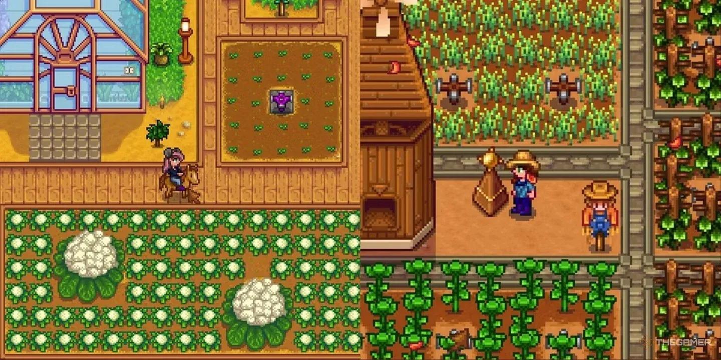 Your Farm More Efficient In Stardew Valley