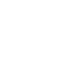 Genshin Impact