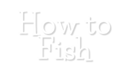 How to Fish