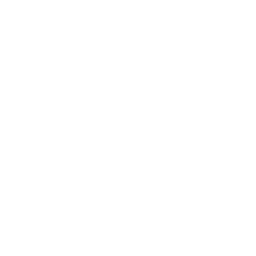 LogoComp_Arena-White.png