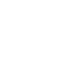lost glitches logo.png