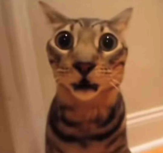 fnordy