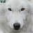 Wolf420