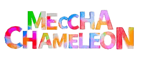 MECCHA CHAMELEON logo